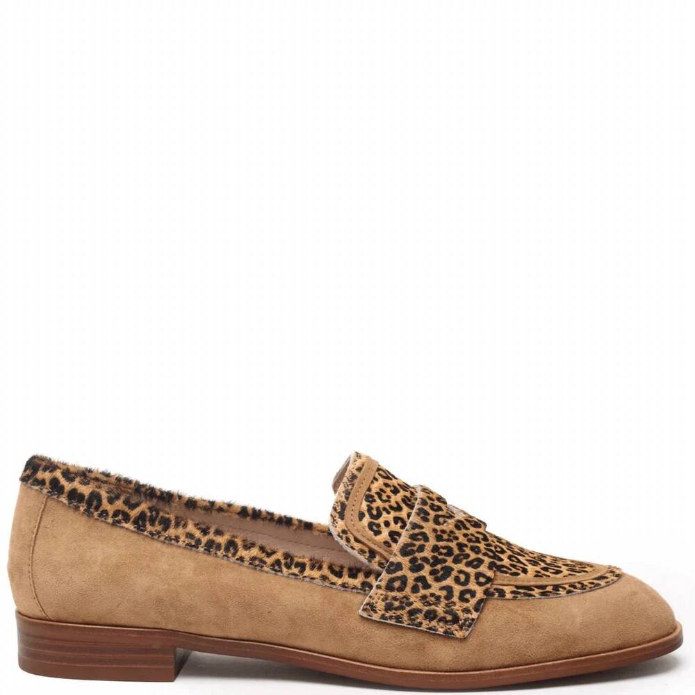 NEW CECELIA NEW YORK women's kali leopard loafer in brown